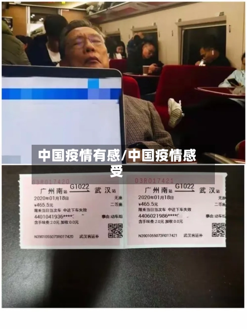 中国疫情有感/中国疫情感受-第2张图片