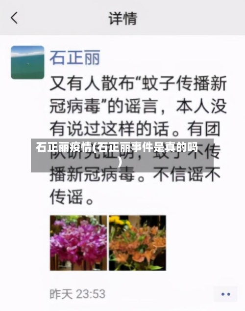 石正丽疫情(石正丽事件是真的吗)-第3张图片