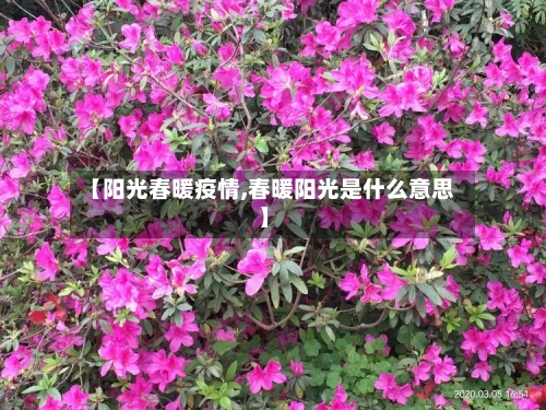 【阳光春暖疫情,春暖阳光是什么意思】