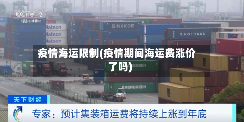 疫情海运限制(疫情期间海运费涨价了吗)-第2张图片