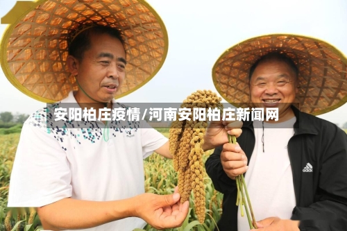 安阳柏庄疫情/河南安阳柏庄新闻网-第2张图片