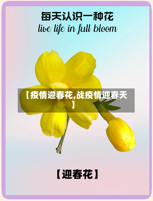 【疫情迎春花,战疫情迎春天】-第2张图片