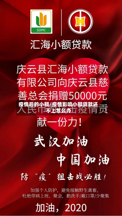 疫情后的小额/疫情影响小额贷款还不上怎么办