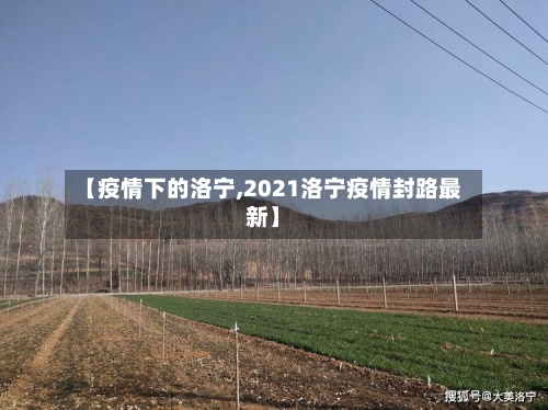 【疫情下的洛宁,2021洛宁疫情封路最新】