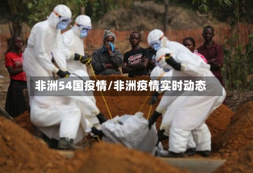 非洲54国疫情/非洲疫情实时动态
