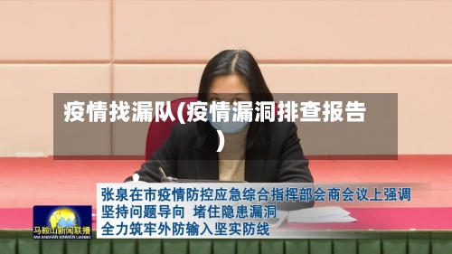 疫情找漏队(疫情漏洞排查报告)
