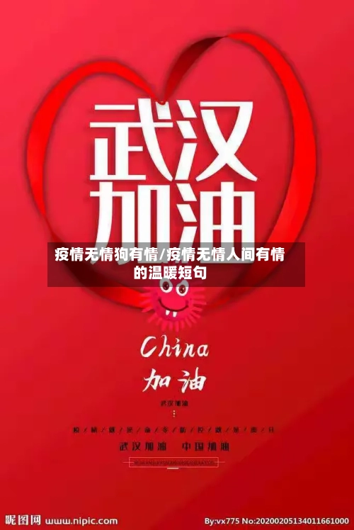 疫情无情狗有情/疫情无情人间有情的温暖短句