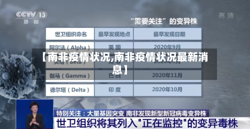 【南非疫情状况,南非疫情状况最新消息】-第2张图片