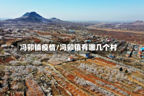 冯卯镇疫情/冯卯镇有哪几个村-第3张图片