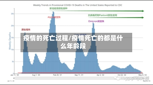 疫情的死亡过程/疫情死亡的都是什么年龄段