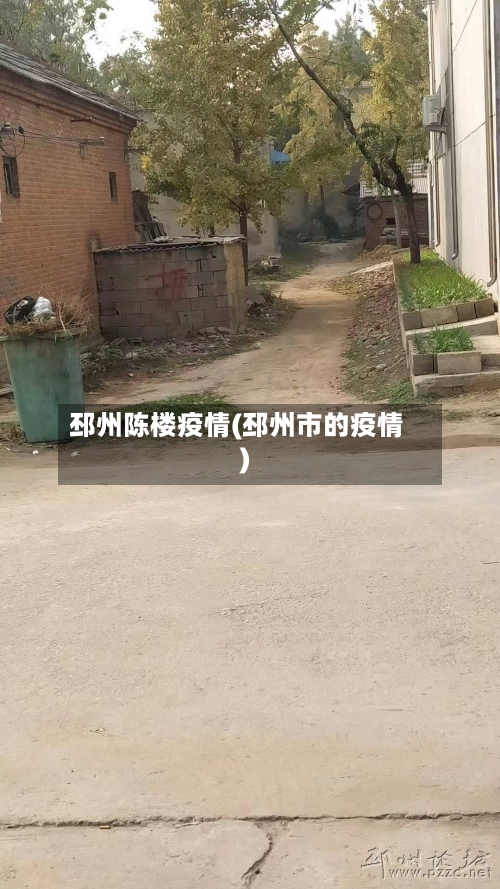 邳州陈楼疫情(邳州市的疫情)-第2张图片