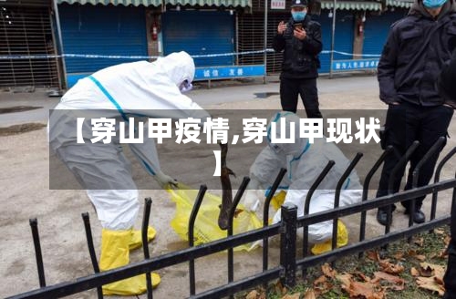 【穿山甲疫情,穿山甲现状】-第3张图片