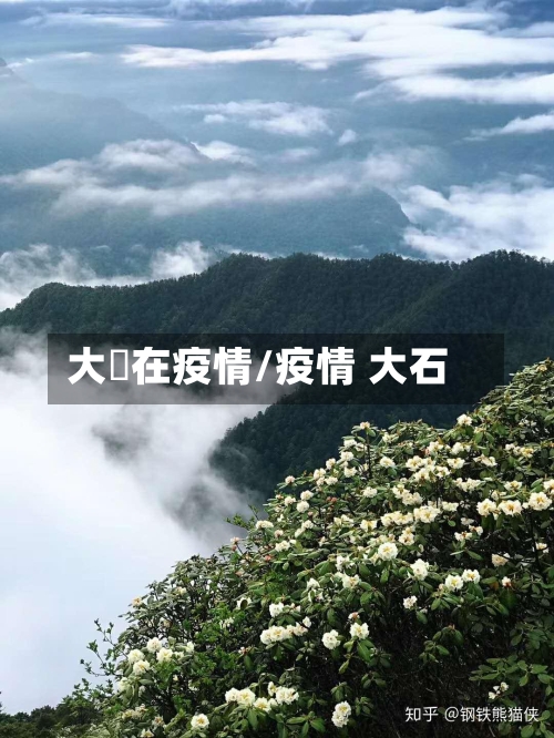 大汖在疫情/疫情 大石