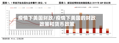 疫情下美国财政/疫情下美国的财政政策和货币政策-第2张图片