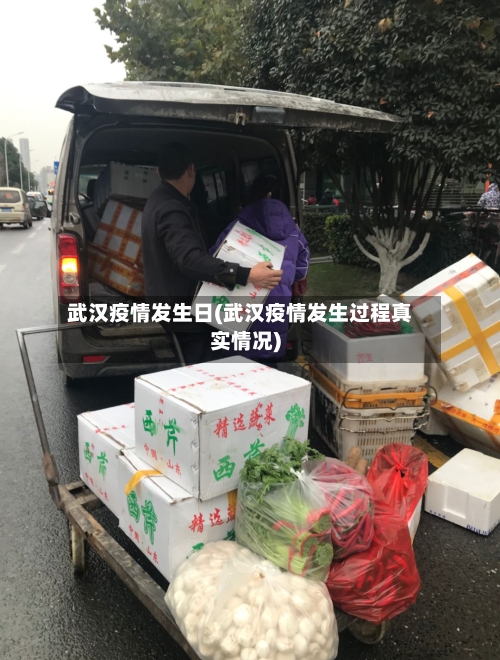 武汉疫情发生日(武汉疫情发生过程真实情况)