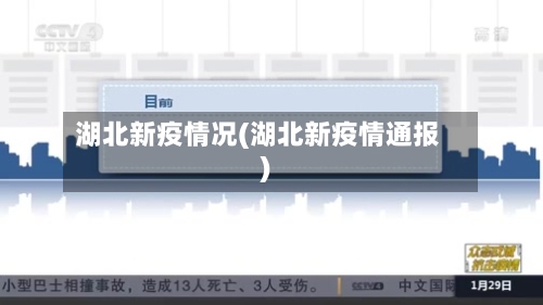 湖北新疫情况(湖北新疫情通报)-第3张图片