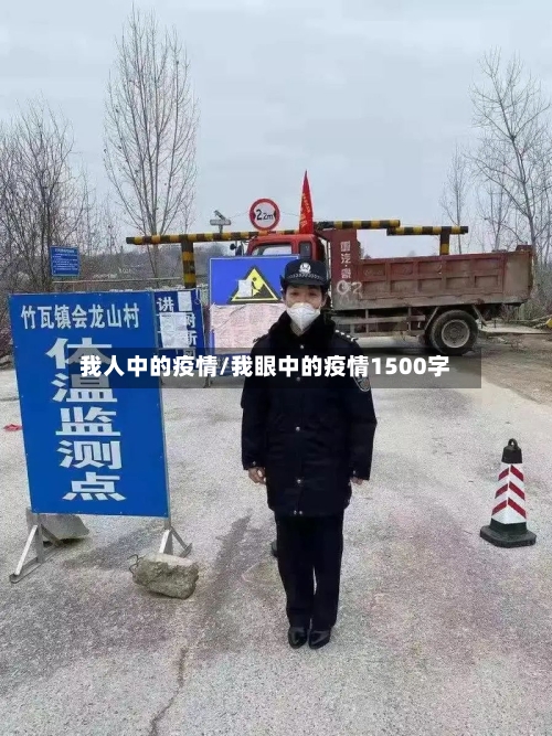 我人中的疫情/我眼中的疫情1500字