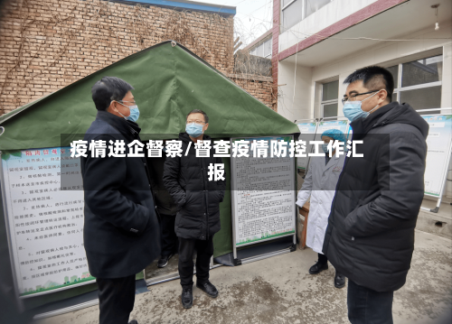 疫情进企督察/督查疫情防控工作汇报