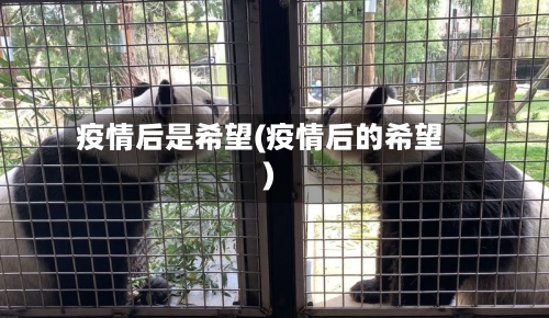 疫情后是希望(疫情后的希望)-第3张图片