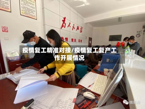 疫情复工精准对接/疫情复工复产工作开展情况