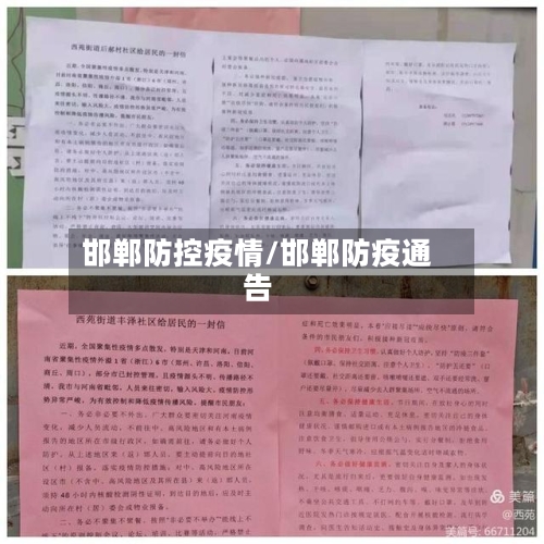 邯郸防控疫情/邯郸防疫通告-第2张图片