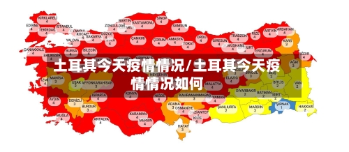 土耳其今天疫情情况/土耳其今天疫情情况如何-第2张图片