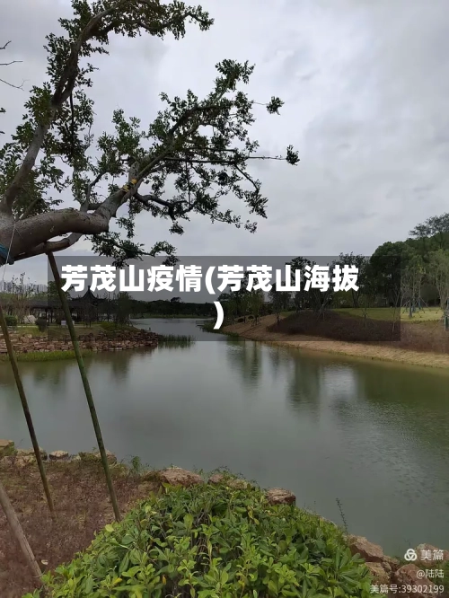 芳茂山疫情(芳茂山海拔)-第3张图片