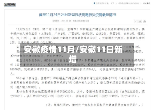 安徽疫情11月/安徽11日新增-第2张图片