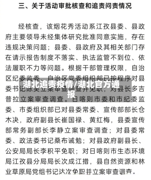 湖北追责疫情/湖北官方通报-第3张图片