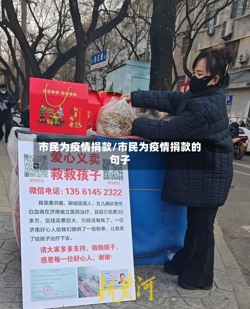 市民为疫情捐款/市民为疫情捐款的句子-第2张图片