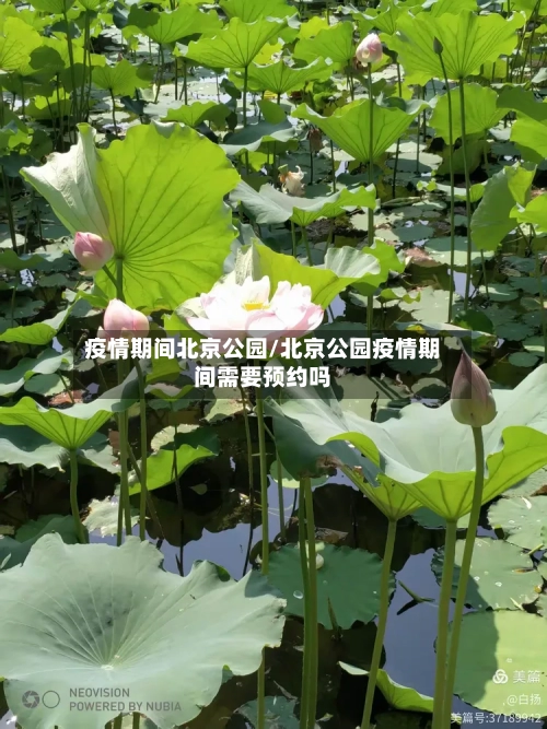 疫情期间北京公园/北京公园疫情期间需要预约吗