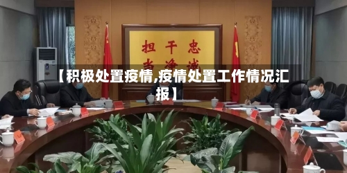 【积极处置疫情,疫情处置工作情况汇报】-第2张图片
