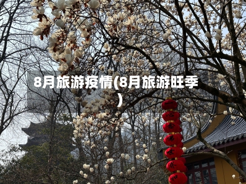 8月旅游疫情(8月旅游旺季)-第2张图片