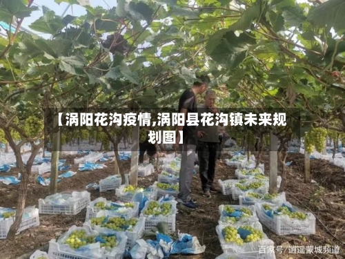 【涡阳花沟疫情,涡阳县花沟镇未来规划图】-第2张图片