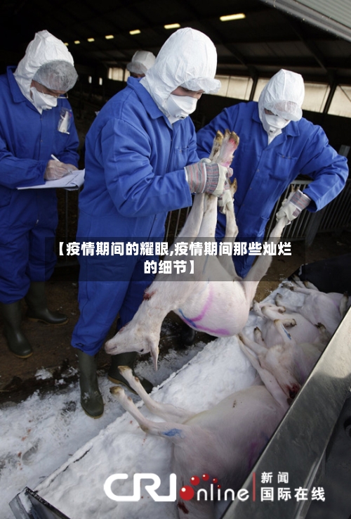 【疫情期间的耀眼,疫情期间那些灿烂的细节】