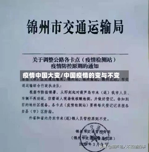 疫情中国大变/中国疫情的变与不变