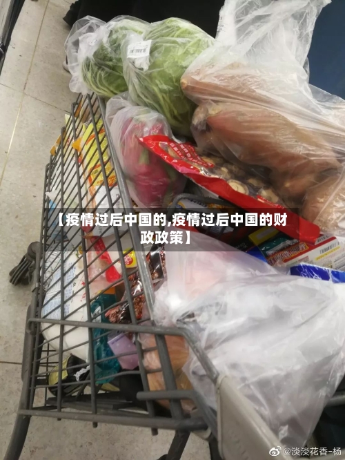 【疫情过后中国的,疫情过后中国的财政政策】-第2张图片