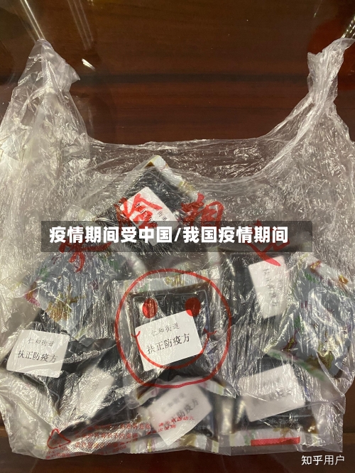 疫情期间受中国/我国疫情期间-第2张图片