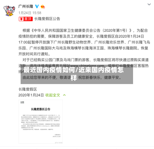 最近国内疫情如何/近来国内疫情怎样-第2张图片