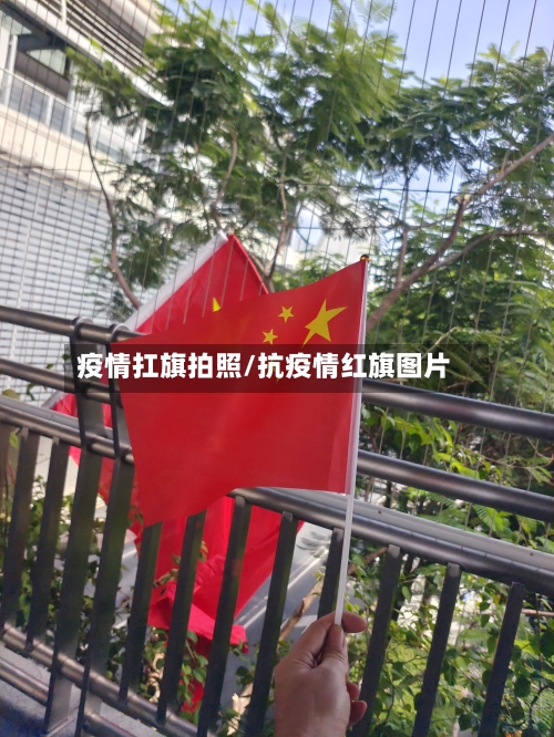 疫情扛旗拍照/抗疫情红旗图片-第2张图片