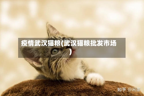 疫情武汉猫粮(武汉猫粮批发市场)-第2张图片