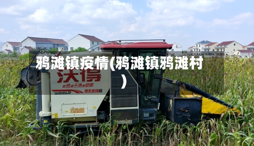 鸦滩镇疫情(鸦滩镇鸦滩村)-第2张图片