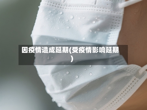 因疫情造成延期(受疫情影响延期)