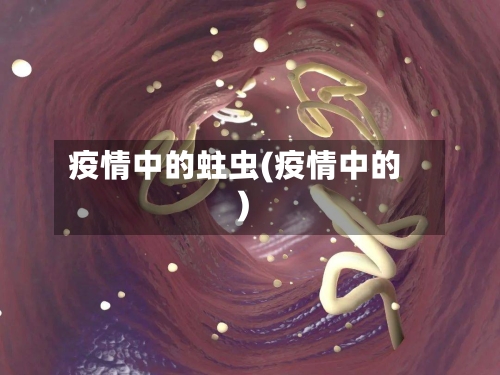 疫情中的蛀虫(疫情中的)