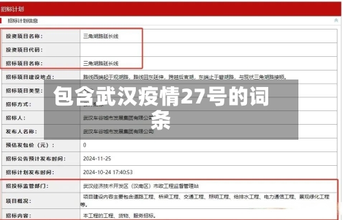 包含武汉疫情27号的词条