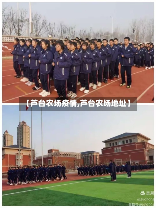 【芦台农场疫情,芦台农场地址】