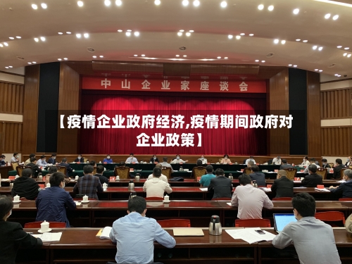 【疫情企业政府经济,疫情期间政府对企业政策】