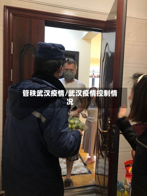 管秩武汉疫情/武汉疫情控制情况-第3张图片