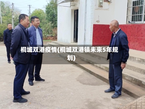 桐城双港疫情(桐城双港镇未来5年规划)