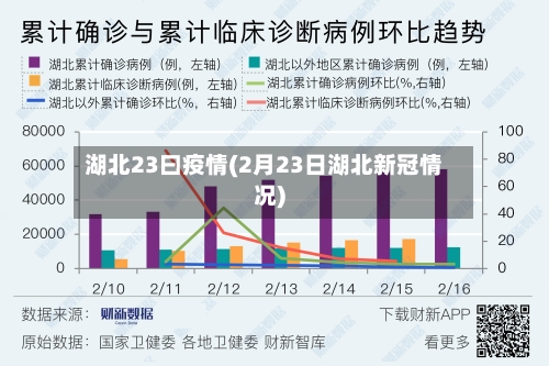 湖北23曰疫情(2月23日湖北新冠情况)